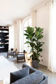 Location de vacances Appartement Dauphine