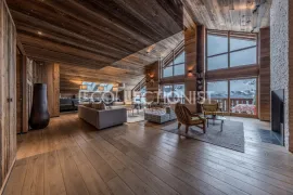 Penthouse Snow Lodge Les Allues