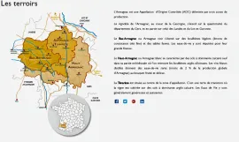 Vente GERS PROPRIETE VITICOLE EN BAS ARMAGNAC 14 HA