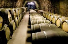 Vente GERS PROPRIETE VITICOLE EN BAS ARMAGNAC 14 HA