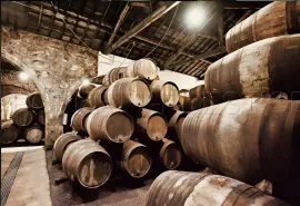 Vente ARMAGNAC – A CEDER CHAI + GRAND STOCK DE QUALITE