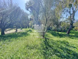 Vente CHARMANTE VILLA AVEC PISCINE AU CALME PLASCASSIER VUE DEGAGEE SA