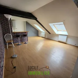 Appartement au chateau vendu loué Fitz-James