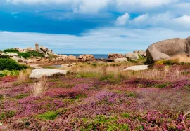 Vente BRETAGNE – VILLAGE VACANCES – 5 HA