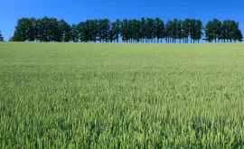 Vente GERS EXPLOITATION AGRICOLE 320 HA IRRIGUES LACS