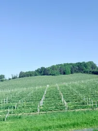 Vente Maison  et vue panoramique–5 minutes de Bergerac