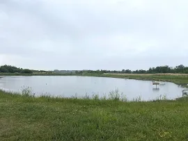 Vente Hutte de chasse dans le marais de Merlimont