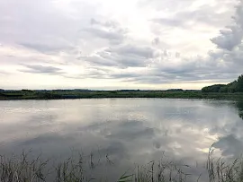 Vente Hutte de chasse dans le marais de Merlimont