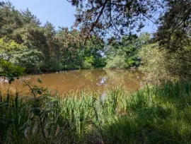 Vente Étang et terrain
