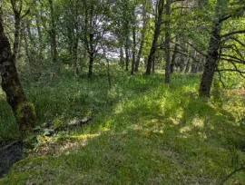 Vente Étang et terrain