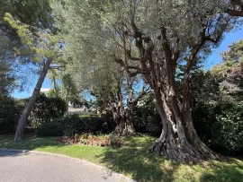Vente Antibes - Superbe appartement 3 pièce(s) 64m2 env Terrasse Piscine Garage Cave