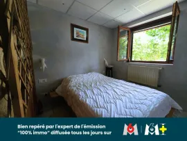 Vente Maison d’artiste avec piscine naturelle, sauna et dépendance – 12 ares – Algolsheim