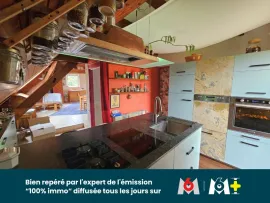 Vente Maison d’artiste avec piscine naturelle, sauna et dépendance – 12 ares – Algolsheim