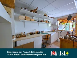 Vente Maison d’artiste avec piscine naturelle, sauna et dépendance – 12 ares – Algolsheim