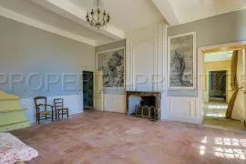 Vente HAUTE GARONNE CHATEAU A RESTAURER 1800 M² 6 HA