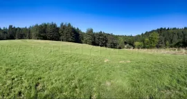 Vente HAUTE ARDECHE ANCIENNE FERME 8 HA