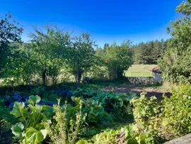 Vente HAUTE ARDECHE ANCIENNE FERME 8 HA