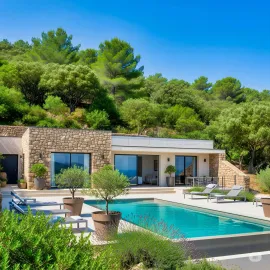 Vente CORSE DOMAINE DE VACANCES REVE VILLA ET LODGES