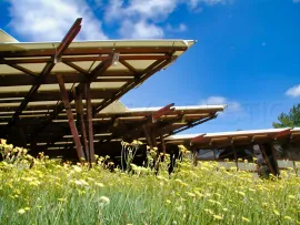 Vente PAYS DE LODEVE DOMAINE D'EXCEPTION 30 HA