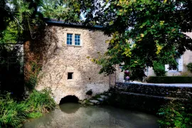 Vente DOMAINE HISTORIQUE région Toulouse (Tarn) 2.5 HA