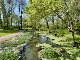 Vente ANCIENNE SEIGNEURIE DU XVIIe CHARENTE-MARITIME 10 HA