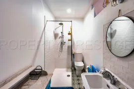Vente TARN MANOIR XIXème CHAMBRES D'HOTES 2,6 HA