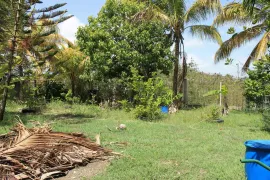 Vente TERRAIN CONSTRUCTIBLE POUR PROMOTION 4 APPARTMTS