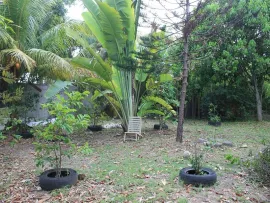Vente TERRAIN CONSTRUCTIBLE POUR PROMOTION 4 APPARTMTS