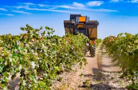 Vente DOMAINE VITICOLE EN PROVENCE 200 HA