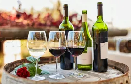 Vente DOMAINE VITICOLE EN PROVENCE 200 HA