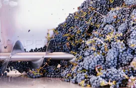 Vente DOMAINE VITICOLE EN PROVENCE 200 HA