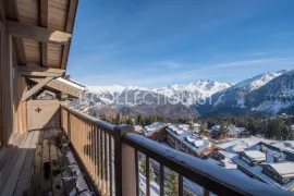 Location de vacances Penthouse Foret Du Praz 5
