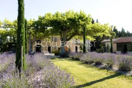 Mas Sedo Saint-Rémy-De-Provence