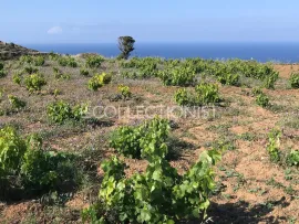 Location de vacances Villa Leger