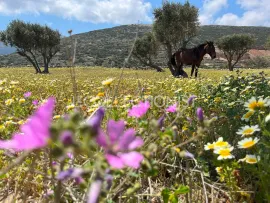 Location de vacances Villa Leger