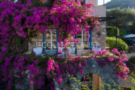 Location de vacances Villa Lauren