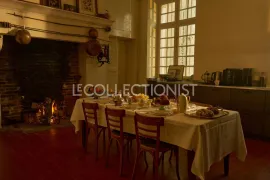 Location de vacances Château des Vignes