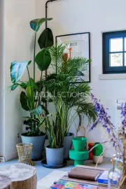 Location de vacances Domaine Gaia