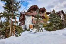 Location de vacances Chalet Alpensia