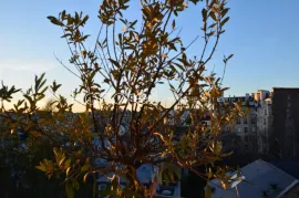 Vente EXCLUSIVITE - PARIS 16ème - AUTEUIL