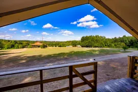 Vente PERIGORD DOMAINE AVEC PRL 24 HA MARIAGES