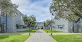 Location Location Bureaux Marseille 13016