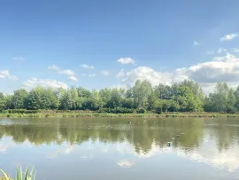 Vente HUTTE DANS LE MARAIS DE GUINES (PAS DE CALAIS)