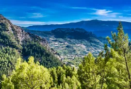 Vente PROPRIETE CHASSE 230 HA HAUT VAR