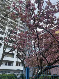 Location Lietzenburger Straße, Berlin