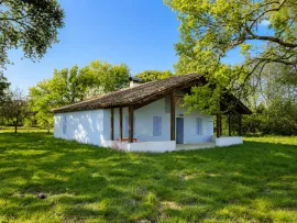 Viager OCCUPATION 6 ANS à ARJUZANX