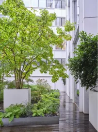 Location Location Bureaux Paris 75002