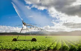 Vente TARN FONCIER AGRICOLE 72 HA IRRIGUE