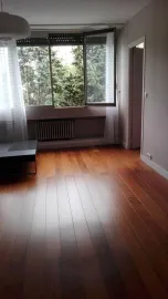 Location T2 45m² Rénové, Lumineux 10min RER Val de Fontenay