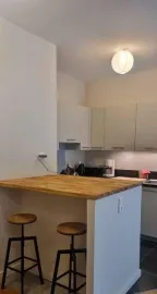 Location Beau 2P refait à neuf, entièrement meublé 45m²